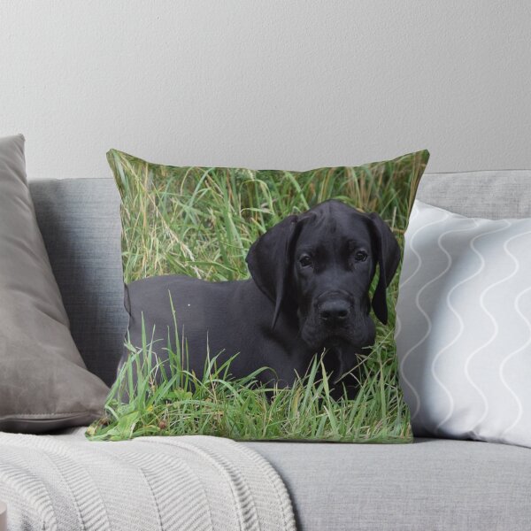 Item preview, Black Great Dane Puppy designed and sold by Slinky-Reebs.