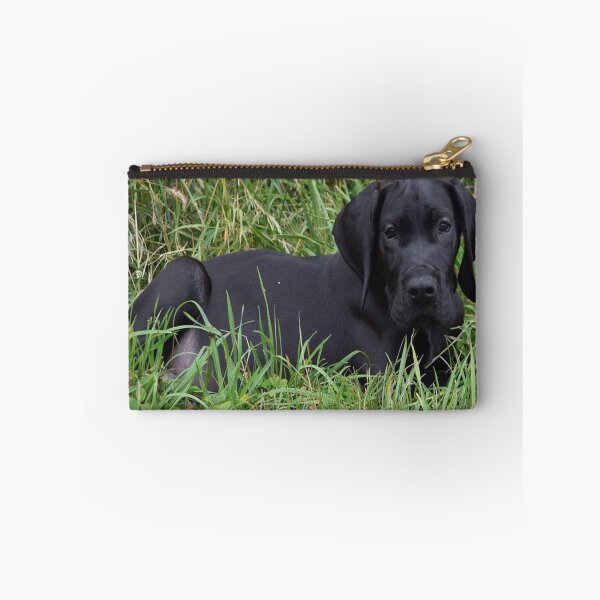 Item preview, Black Great Dane Puppy designed and sold by Slinky-Reebs.