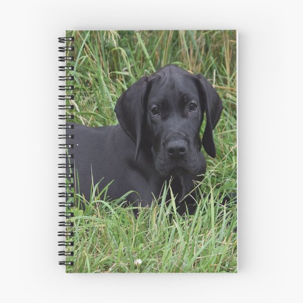 Item preview, Black Great Dane Puppy designed and sold by Slinky-Reebs.