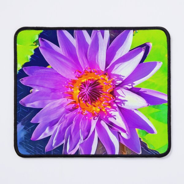Item preview, Nymphaea capensis designed and sold by olusion.