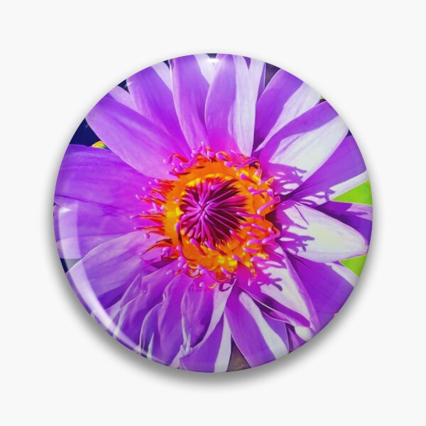 Item preview, Nymphaea capensis designed and sold by olusion.