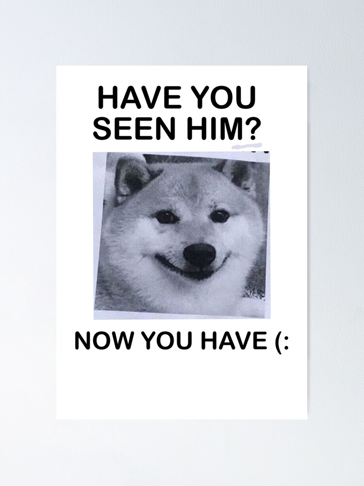 HAVE YOU SEEN HIM