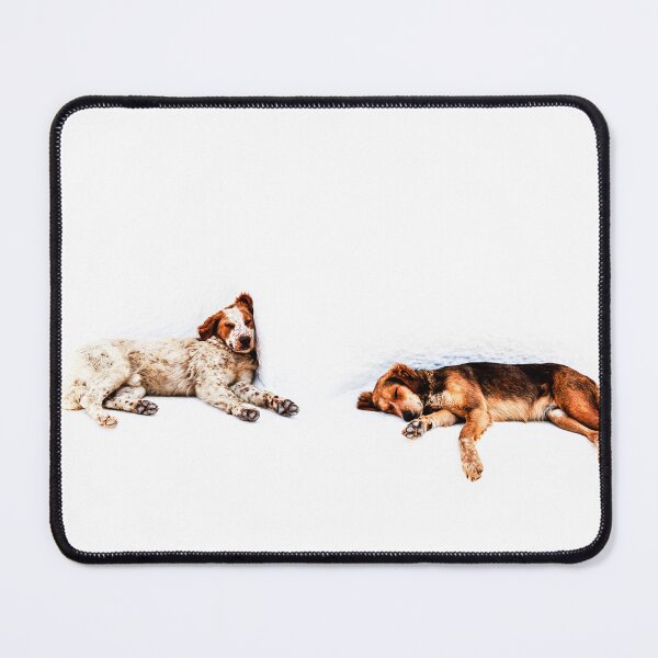 Item preview, It's A Dogs Life designed and sold by Paul Thompson Photography.
