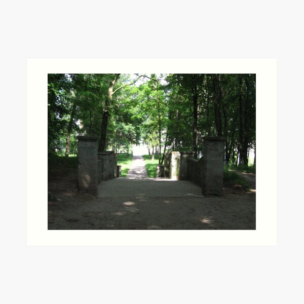 Old park alley Art Print