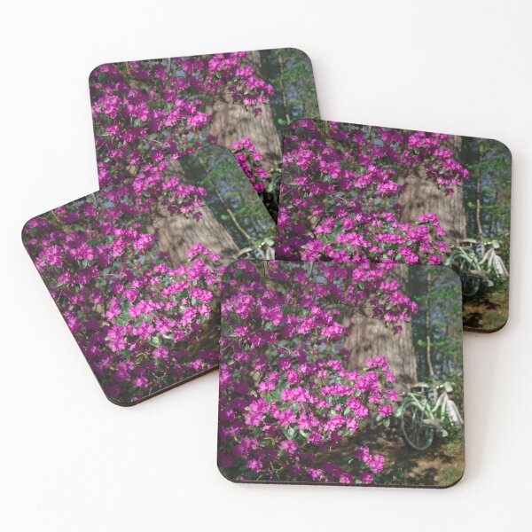 Item preview, Azalea and Bike designed and sold by Alanafinephoto.