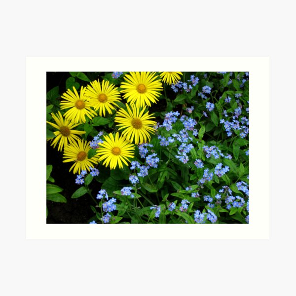 Flowers Art Print