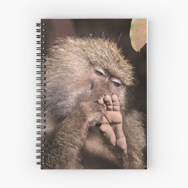 Item preview, Baboon Pedicure designed and sold by ccullen222.