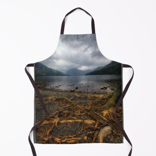 Item preview, Buttermere Roots designed and sold by Paul Thompson Photography.