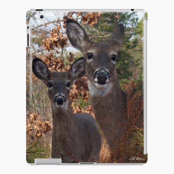 Closeness iPad Snap Case
