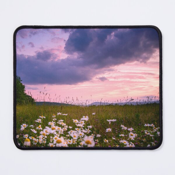 Item preview, Daisy Field designed and sold by Alanafinephoto.