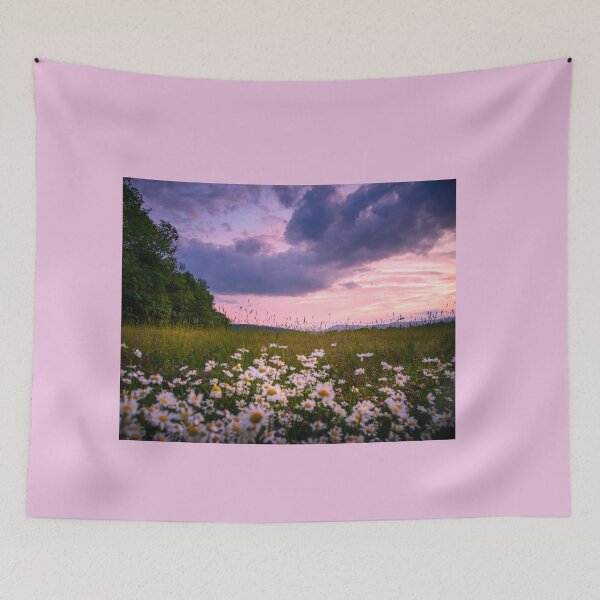 Item preview, Daisy Field designed and sold by Alanafinephoto.