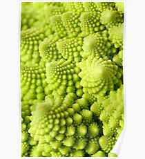 Romanesco broccoli Poster