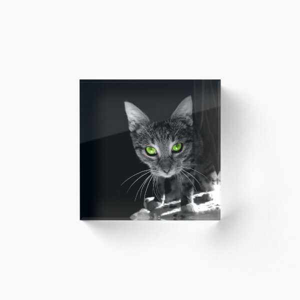 Tabby kitten with bright green eyes Acrylic Block