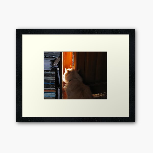 My cat Framed Art Print