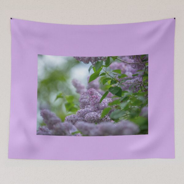Item preview, Lilac Bush designed and sold by Alanafinephoto.