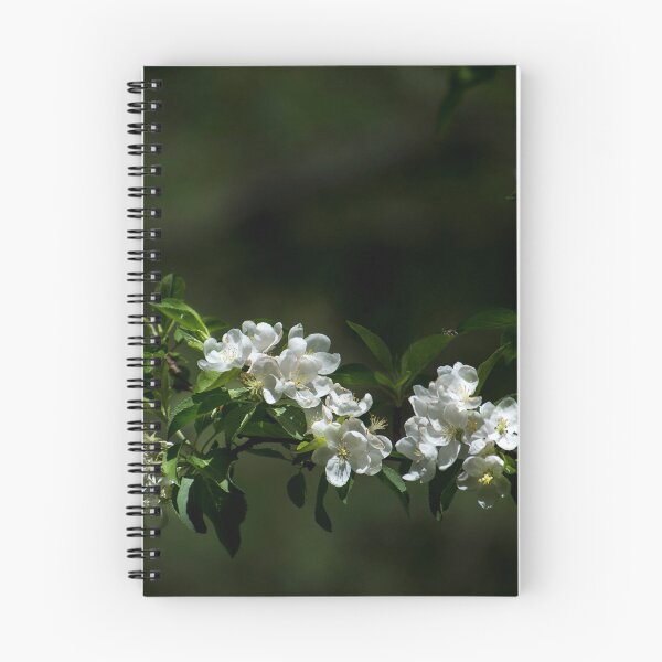 Item preview, Apple Tree Blooms designed and sold by Alanafinephoto.