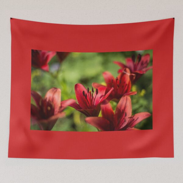 Item preview, Bright Red Lilly's designed and sold by Alanafinephoto.