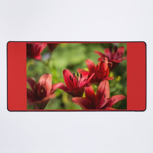 Item preview, Bright Red Lilly's designed and sold by Alanafinephoto.