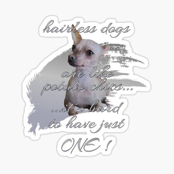 Vista previa del artículo con la obra «Diseño de perro sin pelo con dicho», diseñado y vendido por Ramona4smile2y.
