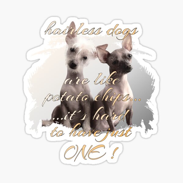 Vista previa del artículo con la obra «Diseño de perro desnudo con dicho», diseñado y vendido por Ramona4smile2y.