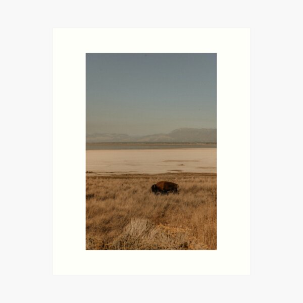Item preview, Buffalo designed and sold by DefiebyD.