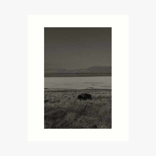 Item preview, Buffalo BW designed and sold by DefiebyD.