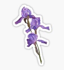 Iris Sticker