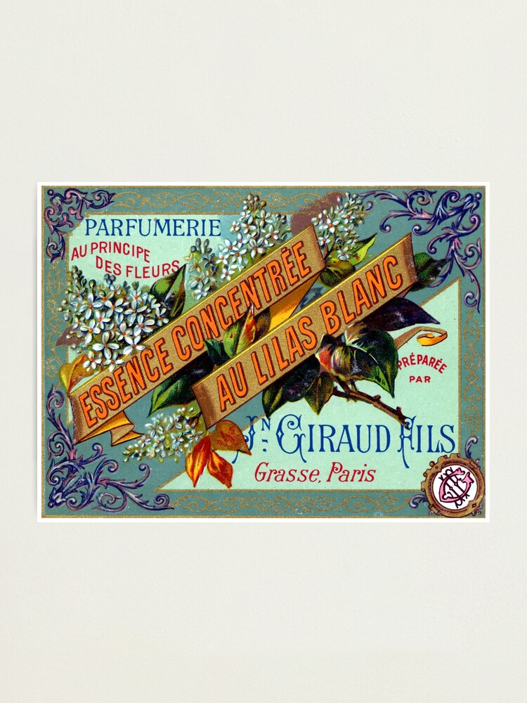 Perfume Parfum Fliederduft Flieder Parfum Selbst Herstellen