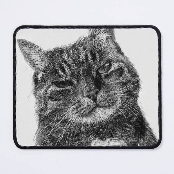 Item preview, Pissed Off Cat designed and sold by Oliveirallan.