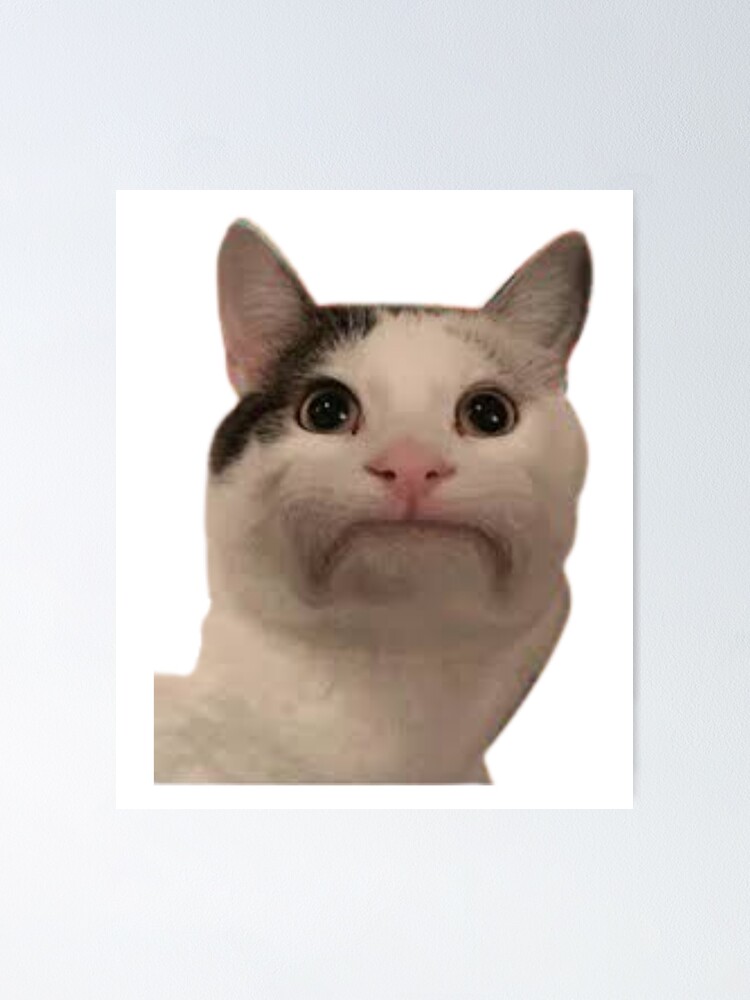 Beluga cat, Beluga Cat Meme, Meme Sticker for Sale by graphic-genie