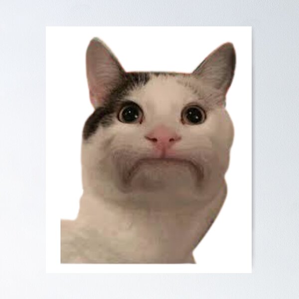 Beluga Cat - Beluga Cat Meme - Posters and Art Prints