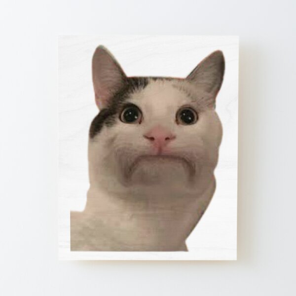 beluga cat discord pfp  Mounted Print for Sale by Liamandlore