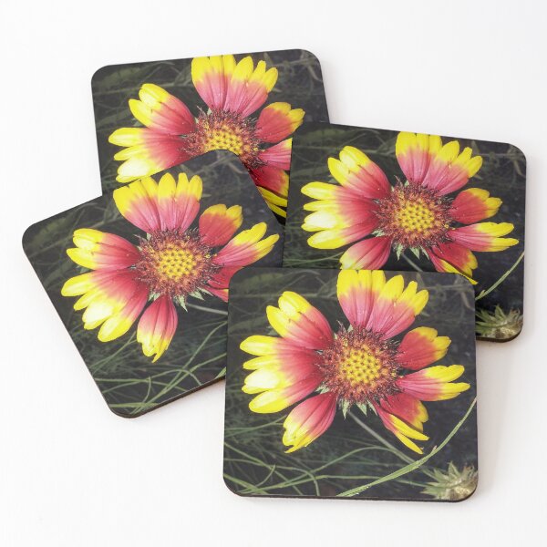 Item preview, Yellow & Fuschia Flower Eugene Oregon designed and sold by PPPimp.