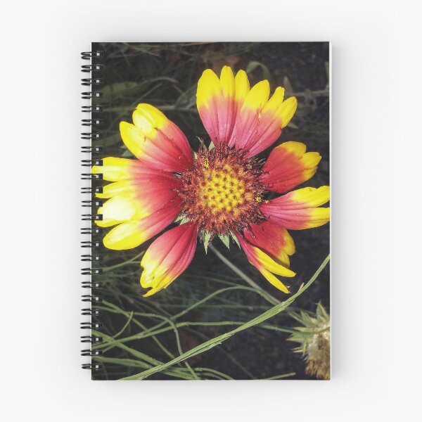 Item preview, Yellow & Fuschia Flower Eugene Oregon designed and sold by PPPimp.