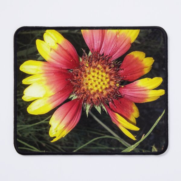 Item preview, Yellow & Fuschia Flower Eugene Oregon designed and sold by PPPimp.