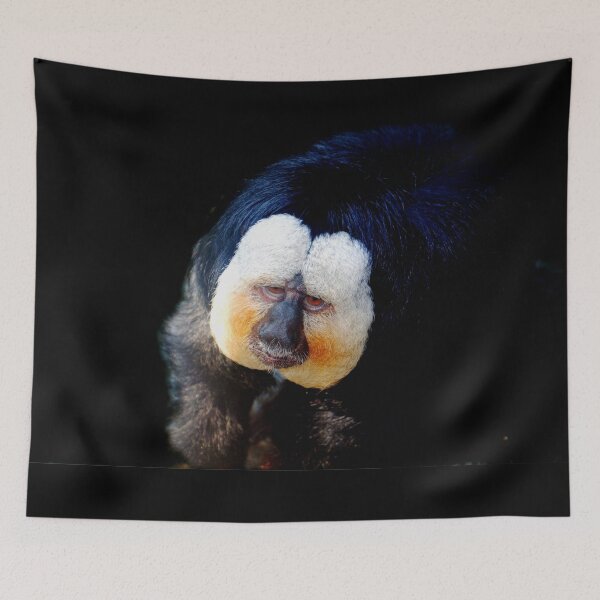 Item preview, Frankie designed and sold by Savannah Gibbs.