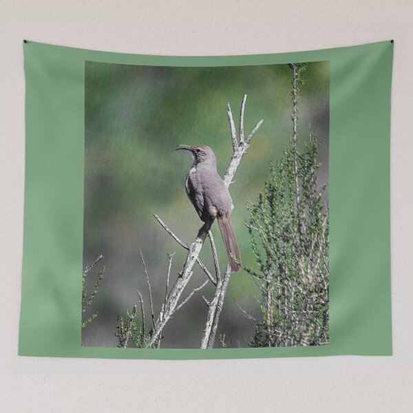 Item preview, California Thrasher  designed and sold by CarolM.