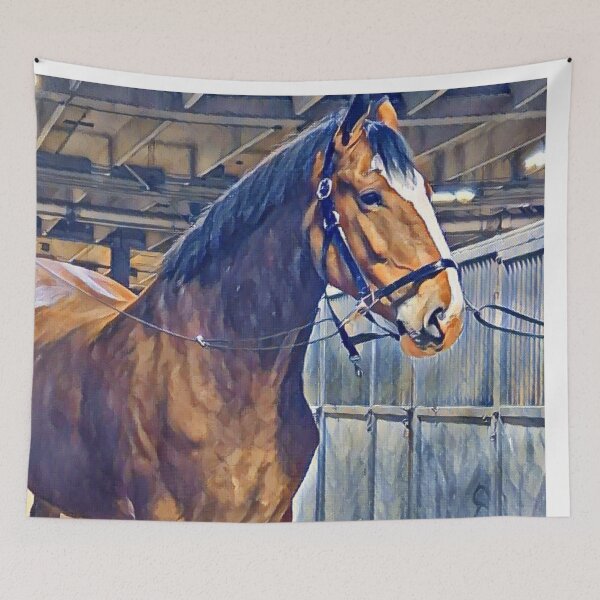 Item preview, Clydesdale designed and sold by Sharon the Zoo Lady Photography .
