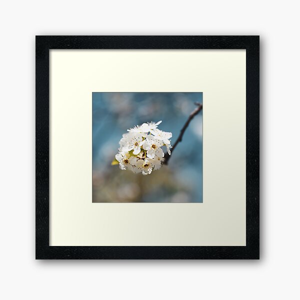 Item preview, Macro Flower designed and sold by Brenton Bessell.
