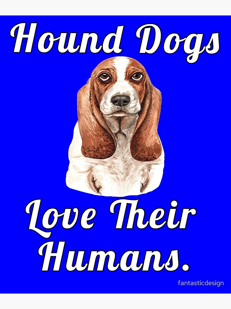 Hound Dog Owner Hound Dogs Love Their Humans