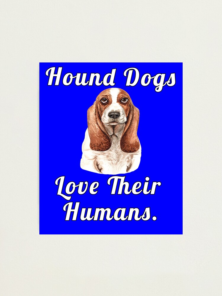 Hound Dog Owner Hound Dogs Love Their Humans