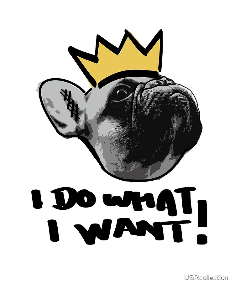 i want a french bulldog