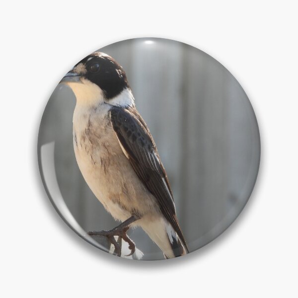 Item preview, Butcher bird designed and sold by MissPell.