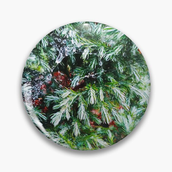 Item preview, Fir tree covered with drops of rain designed and sold by helenkaiy.