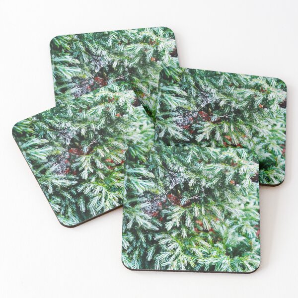 Item preview, Fir tree covered with drops of rain designed and sold by helenkaiy.