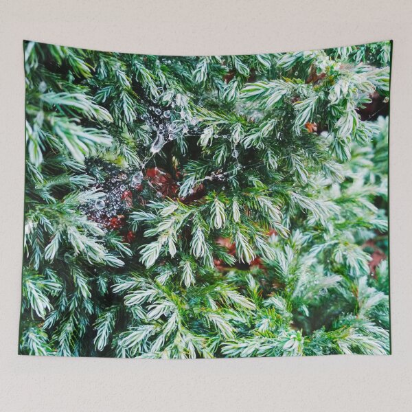 Item preview, Fir tree covered with drops of rain designed and sold by helenkaiy.
