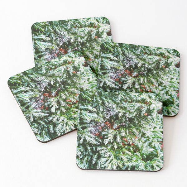 Item preview, Fir tree covered with drops of rain designed and sold by helenkaiy.