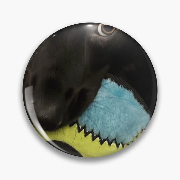 Item preview, Lilo the Dog Holding Toy designed and sold by rwilk2.