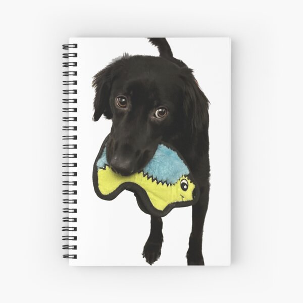 Item preview, Lilo the Dog Holding Toy designed and sold by rwilk2.