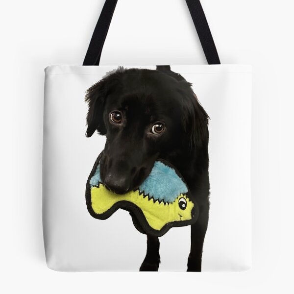 Item preview, Lilo the Dog Holding Toy designed and sold by rwilk2.
